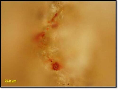 Oldest Red Ochre Spit